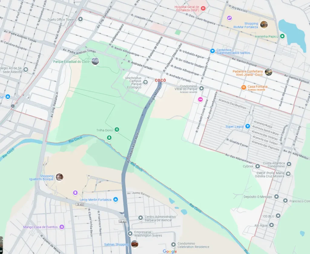 Desenho recortado do Google Maps com fundo cinza claro, divisas azuis e linhas cinza escuro, com a localização desatcada do bairro Cocó em Fortaleza com uma enorme área verde do parque estadual isolada em meio ao centro urbano