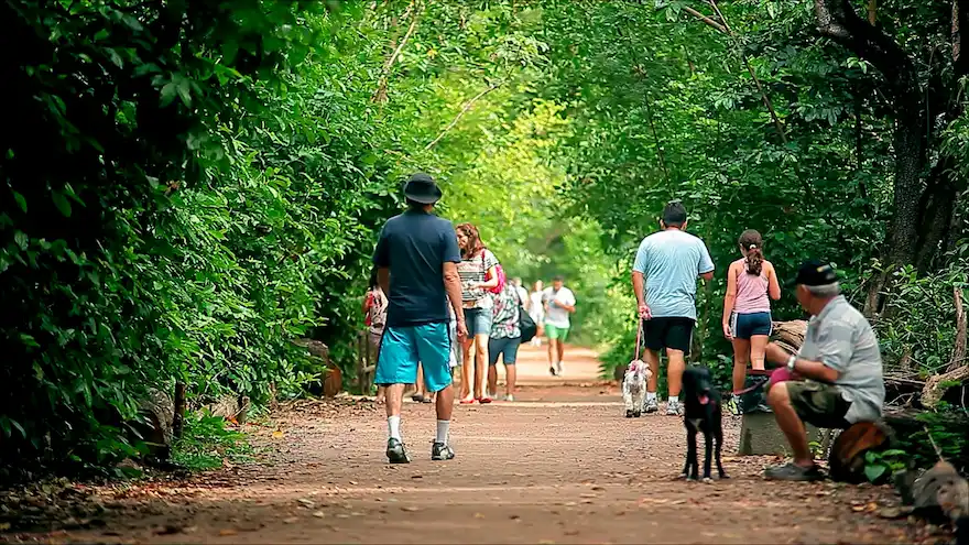 Foto de pessoas fazendo caminhada em uma trilha de piso de terra batido liso cortando uma área verde. Se trata da trilha principal do Parque Estadual do Cocó em Fortaleza. Na imagem, é possível ver pessoas andando e outras pessoas sentadas ao longo da trilha em bancos
